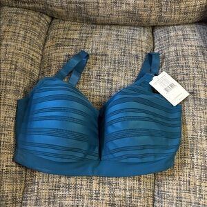 Le Mystere Teal Striped Bra 34 DDD/F